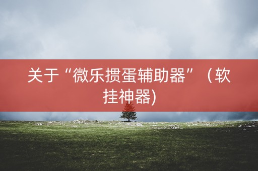 关于“微乐掼蛋辅助器”（软挂神器)