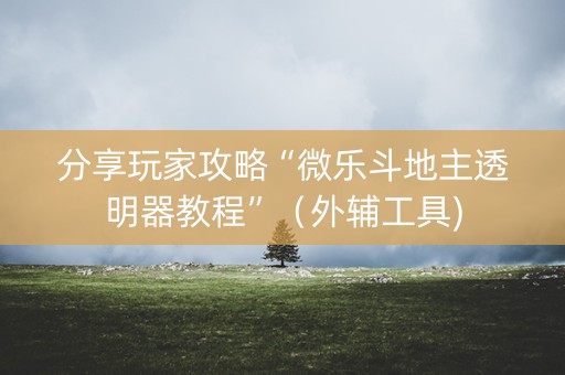 分享玩家攻略“微乐斗地主透明器教程”（外辅工具)