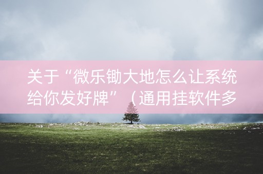 关于“微乐锄大地怎么让系统给你发好牌”（通用挂软件多少钱)