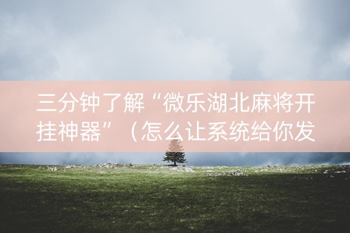 三分钟了解“微乐湖北麻将开挂神器”（怎么让系统给你发好牌)