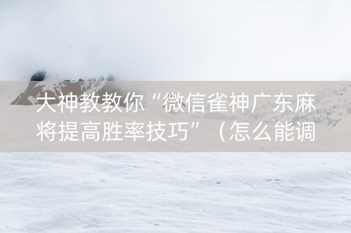 大神教教你“微信雀神广东麻将提高胜率技巧”（怎么能调好牌)
