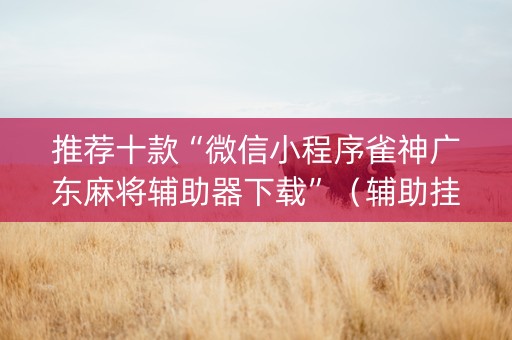 推荐十款“微信小程序雀神广东麻将辅助器下载”（辅助挂发牌规律)