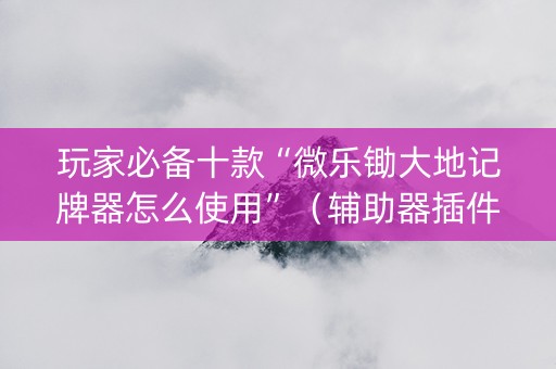 玩家必备十款“微乐锄大地记牌器怎么使用”（辅助器插件)