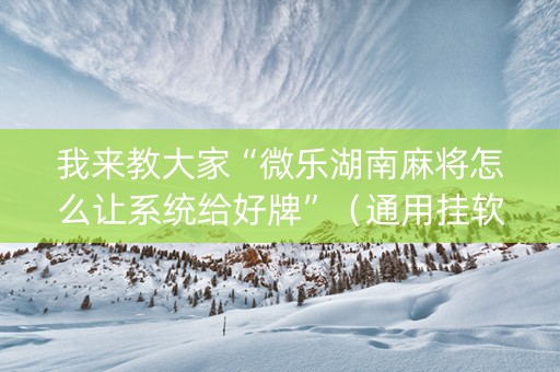 我来教大家“微乐湖南麻将怎么让系统给好牌”（通用挂软件多少钱)
