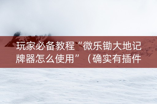 玩家必备教程“微乐锄大地记牌器怎么使用”（确实有插件吗)