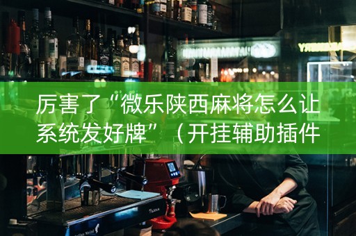 厉害了“微乐陕西麻将怎么让系统发好牌”（开挂辅助插件)