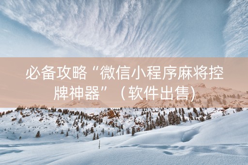 必备攻略“微信小程序麻将控牌神器”（软件出售)