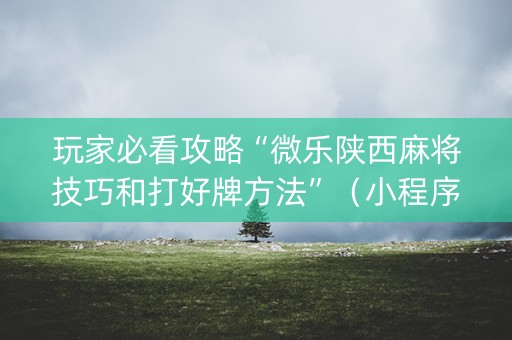 玩家必看攻略“微乐陕西麻将技巧和打好牌方法”（小程序必赢神器)