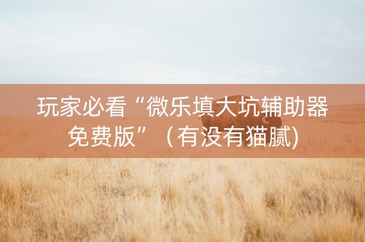 玩家必看“微乐填大坑辅助器免费版”（有没有猫腻)