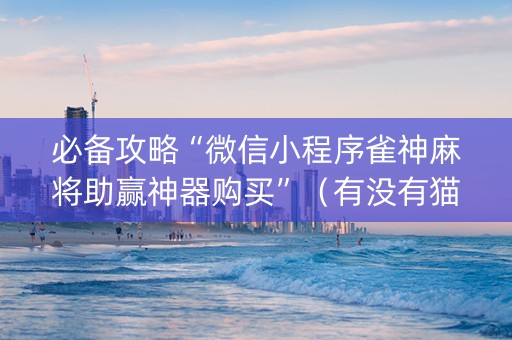 必备攻略“微信小程序雀神麻将助赢神器购买”（有没有猫腻)