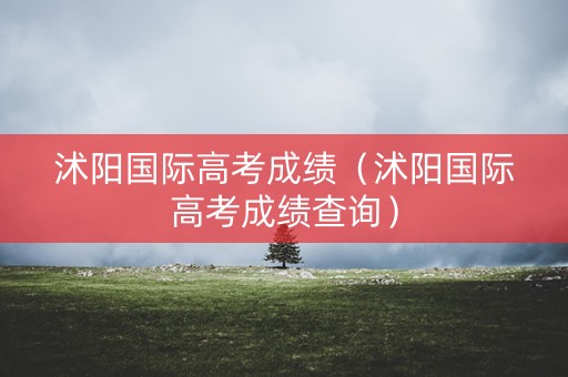 沭阳国际高考成绩（沭阳国际高考成绩查询）