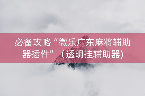 必备攻略“微乐广东麻将辅助器插件”（透明挂辅助器)