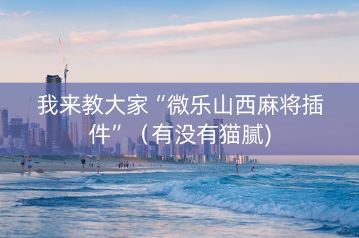 我来教大家“微乐山西麻将插件”（有没有猫腻)