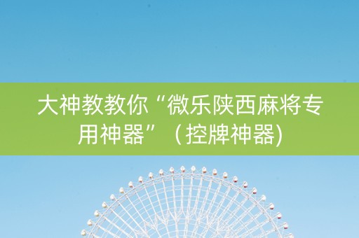 大神教教你“微乐陕西麻将专用神器”（控牌神器)