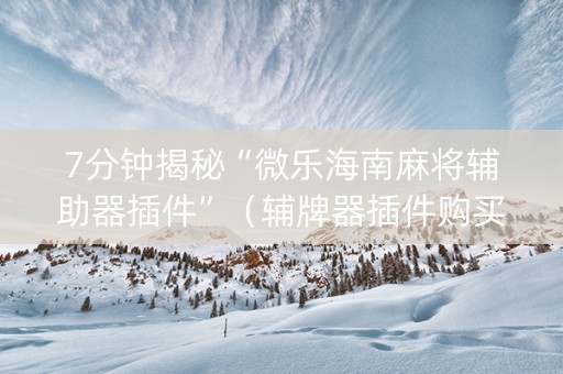 7分钟揭秘“微乐海南麻将辅助器插件”（辅牌器插件购买)