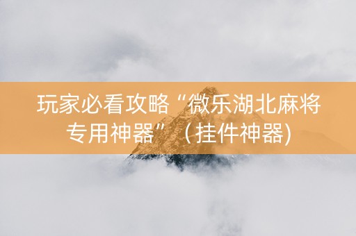 玩家必看攻略“微乐湖北麻将专用神器”（挂件神器)
