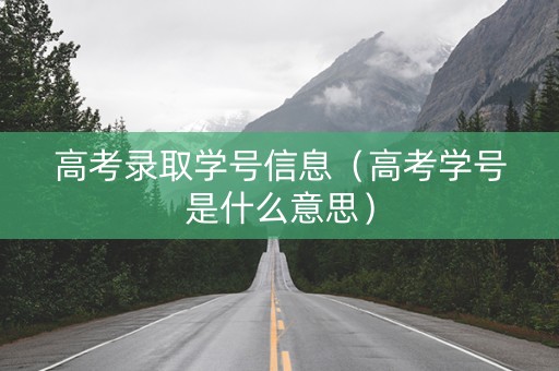 高考录取学号信息（高考学号是什么意思）