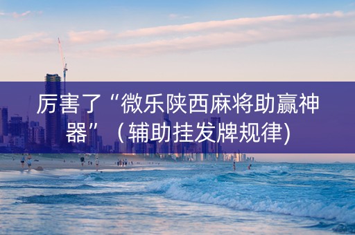 厉害了“微乐陕西麻将助赢神器”（辅助挂发牌规律)