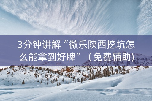 3分钟讲解“微乐陕西挖坑怎么能拿到好牌”（免费辅助)