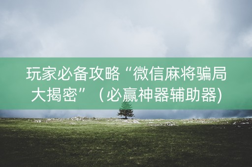 玩家必备攻略“微信麻将骗局大揭密”（必赢神器辅助器)