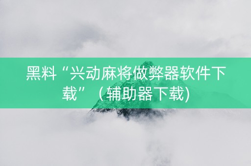 黑料“兴动麻将做弊器软件下载”（辅助器下载)