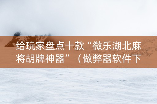 给玩家盘点十款“微乐湖北麻将胡牌神器”（做弊器软件下载)