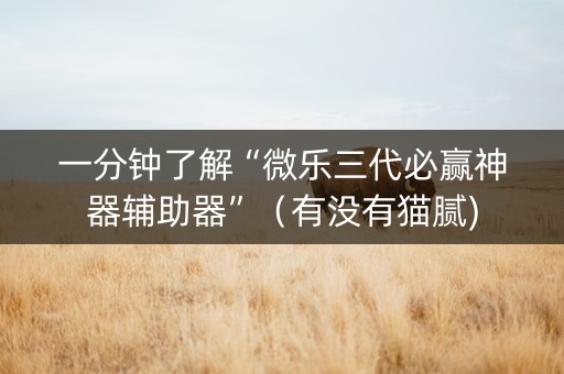 一分钟了解“微乐三代必赢神器辅助器”（有没有猫腻)