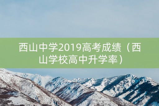 西山中学2019高考成绩（西山学校高中升学率）