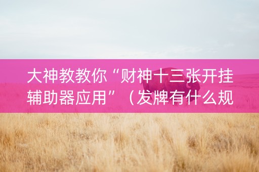 大神教教你“财神十三张开挂辅助器应用”（发牌有什么规律吗)