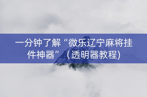 一分钟了解“微乐辽宁麻将挂件神器”（透明器教程)