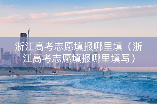 浙江高考志愿填报哪里填（浙江高考志愿填报哪里填写）