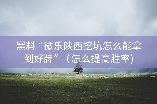 黑料“微乐陕西挖坑怎么能拿到好牌”（怎么提高胜率)