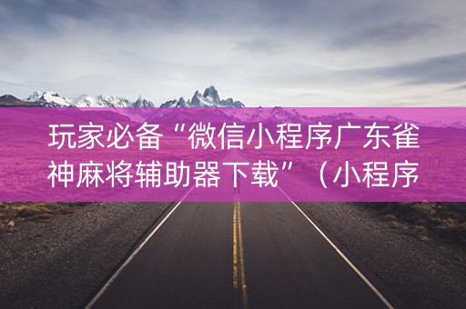 玩家必备“微信小程序广东雀神麻将辅助器下载”（小程序控牌器)