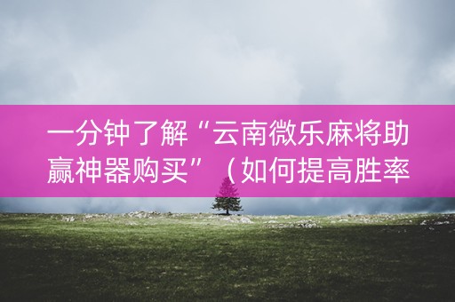 一分钟了解“云南微乐麻将助赢神器购买”（如何提高胜率)