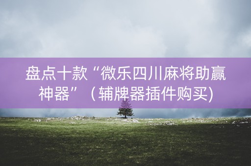 盘点十款“微乐四川麻将助赢神器”（辅牌器插件购买)