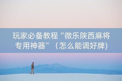玩家必备教程“微乐陕西麻将专用神器”（怎么能调好牌)