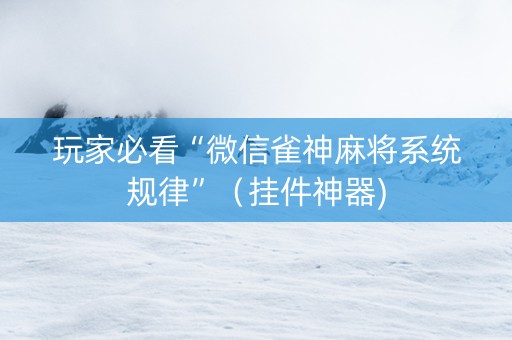玩家必看“微信雀神麻将系统规律”（挂件神器)