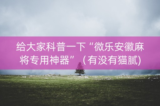 给大家科普一下“微乐安徽麻将专用神器”（有没有猫腻)