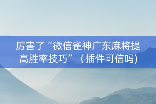 厉害了“微信雀神广东麻将提高胜率技巧”（插件可信吗)