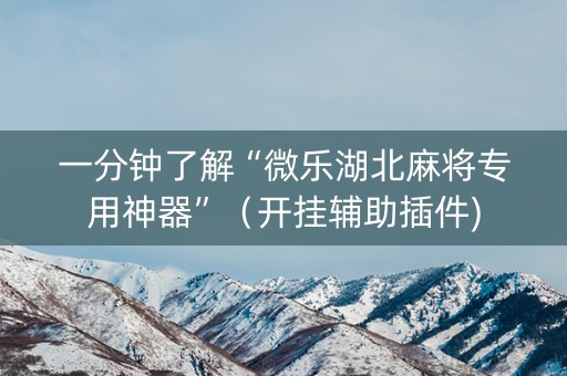 一分钟了解“微乐湖北麻将专用神器”（开挂辅助插件)
