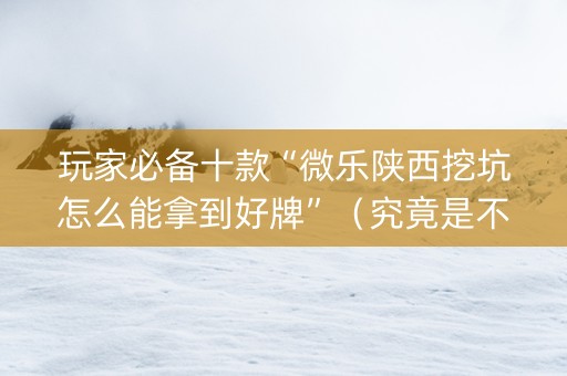 玩家必备十款“微乐陕西挖坑怎么能拿到好牌”（究竟是不是有挂)