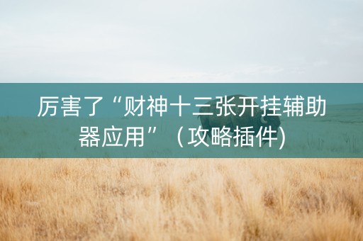 厉害了“财神十三张开挂辅助器应用”（攻略插件)