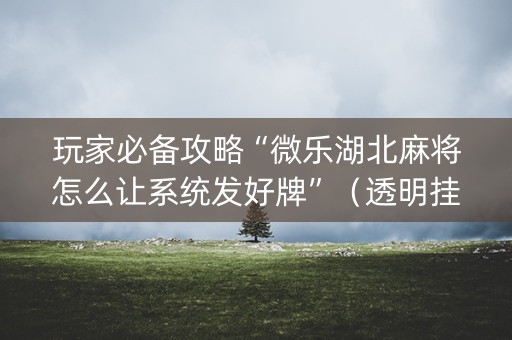 玩家必备攻略“微乐湖北麻将怎么让系统发好牌”（透明挂辅助器)