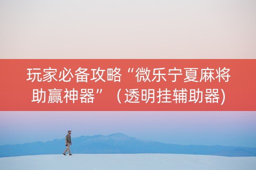玩家必备攻略“微乐宁夏麻将助赢神器”（透明挂辅助器)