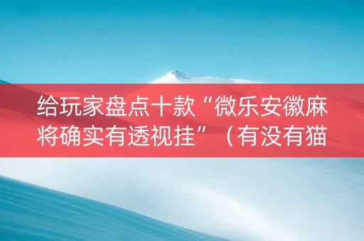给玩家盘点十款“微乐安徽麻将确实有透视挂”（有没有猫腻)