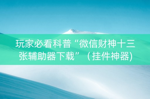 玩家必看科普“微信财神十三张辅助器下载”（挂件神器)