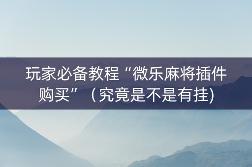 玩家必备教程“微乐麻将插件购买”（究竟是不是有挂)
