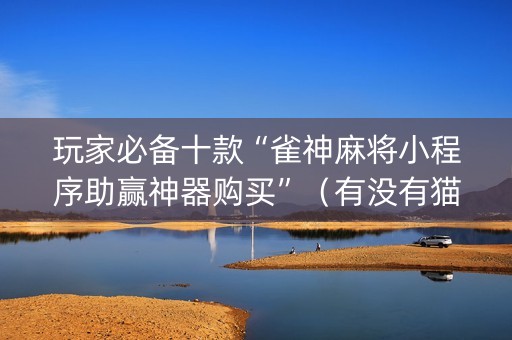 玩家必备十款“雀神麻将小程序助赢神器购买”（有没有猫腻)
