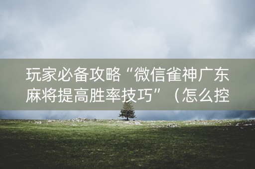 玩家必备攻略“微信雀神广东麻将提高胜率技巧”（怎么控制输赢)