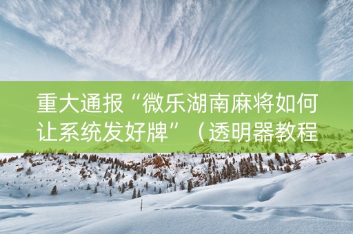 重大通报“微乐湖南麻将如何让系统发好牌”（透明器教程)